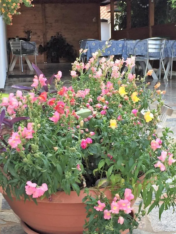 *** Bed & Breakfast Pension Nina Umago Croazia